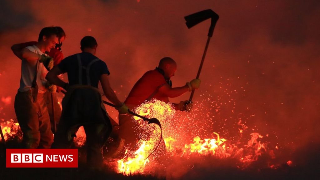 Climate change: IPCC report is 'code red for humanity' - BBC News ...